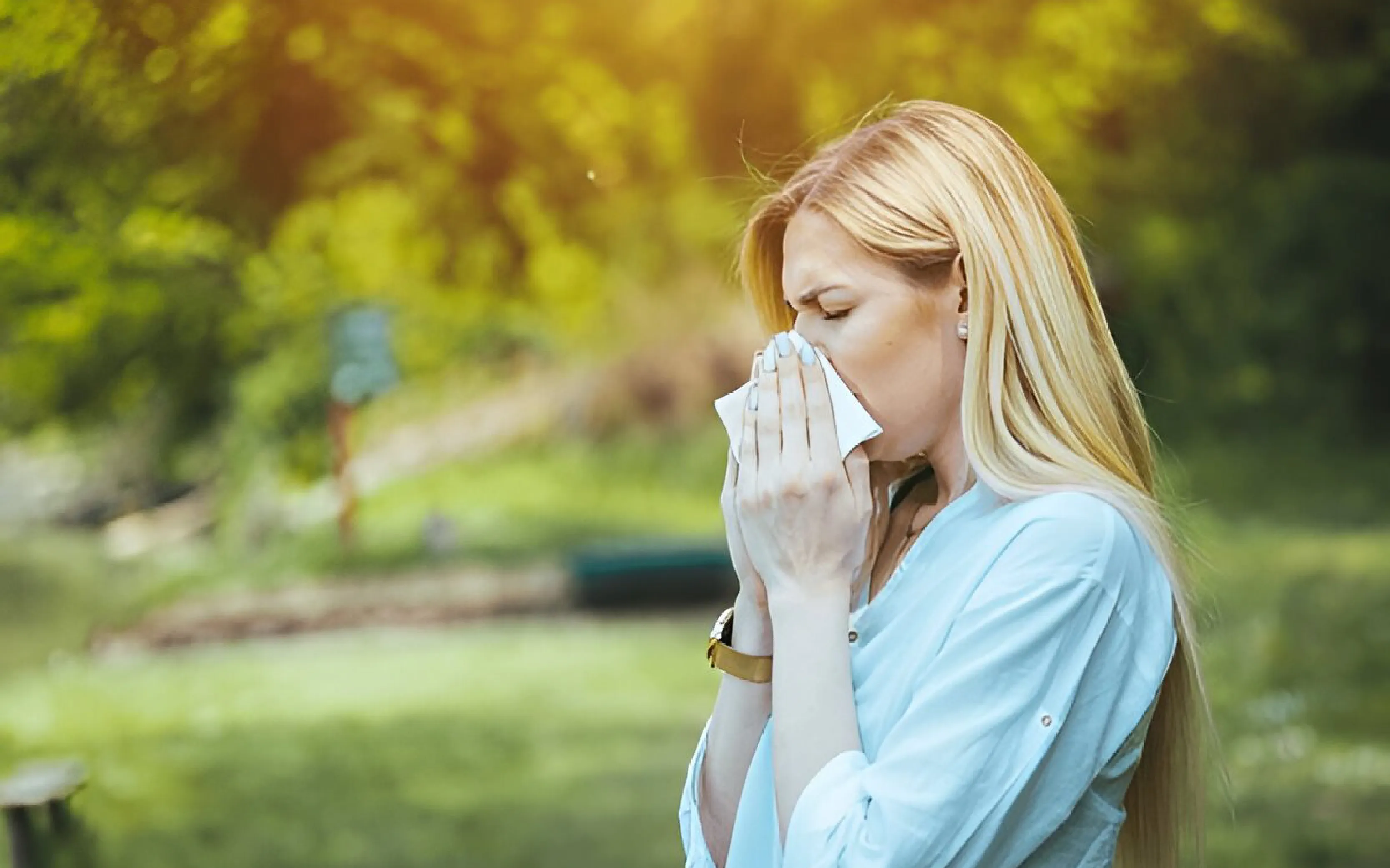 carpet cleaning in new york, carpet cleaning new york, carpet cleaners in new york, carpet cleaners in new york, commercial carpet cleaning, commercial carpet cleaning in new york, new york rug cleaners, rug cleaning services in new york, same day carpet cleaning, same day rug cleaning in new york